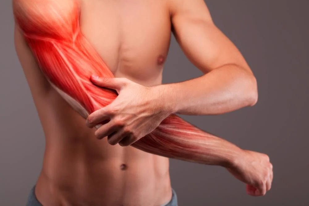 The Role of Protein in Muscle Repair and Recovery - Nutristore