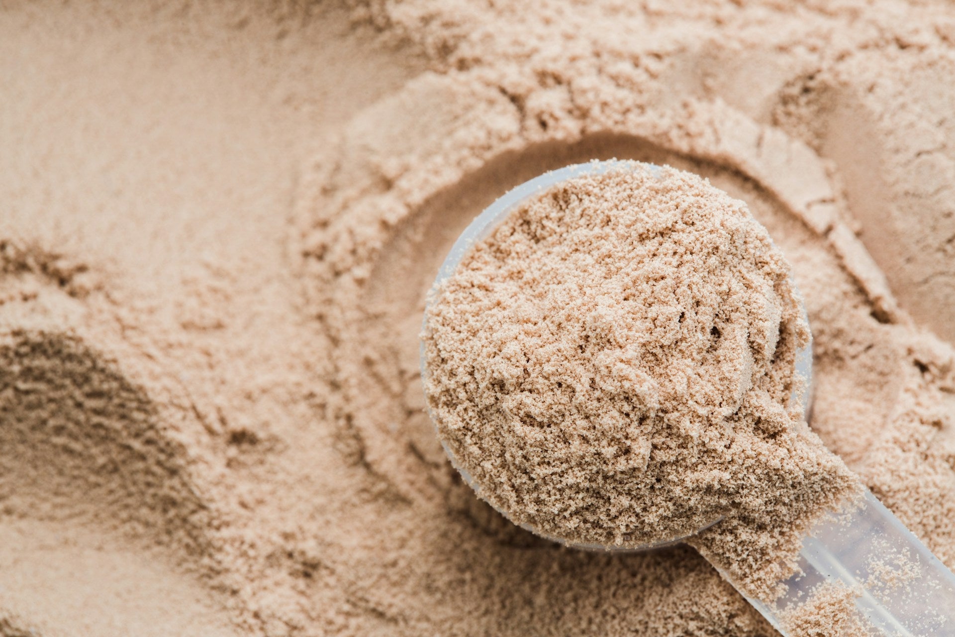 Choosing the Right Protein Powder for You - Nutristore