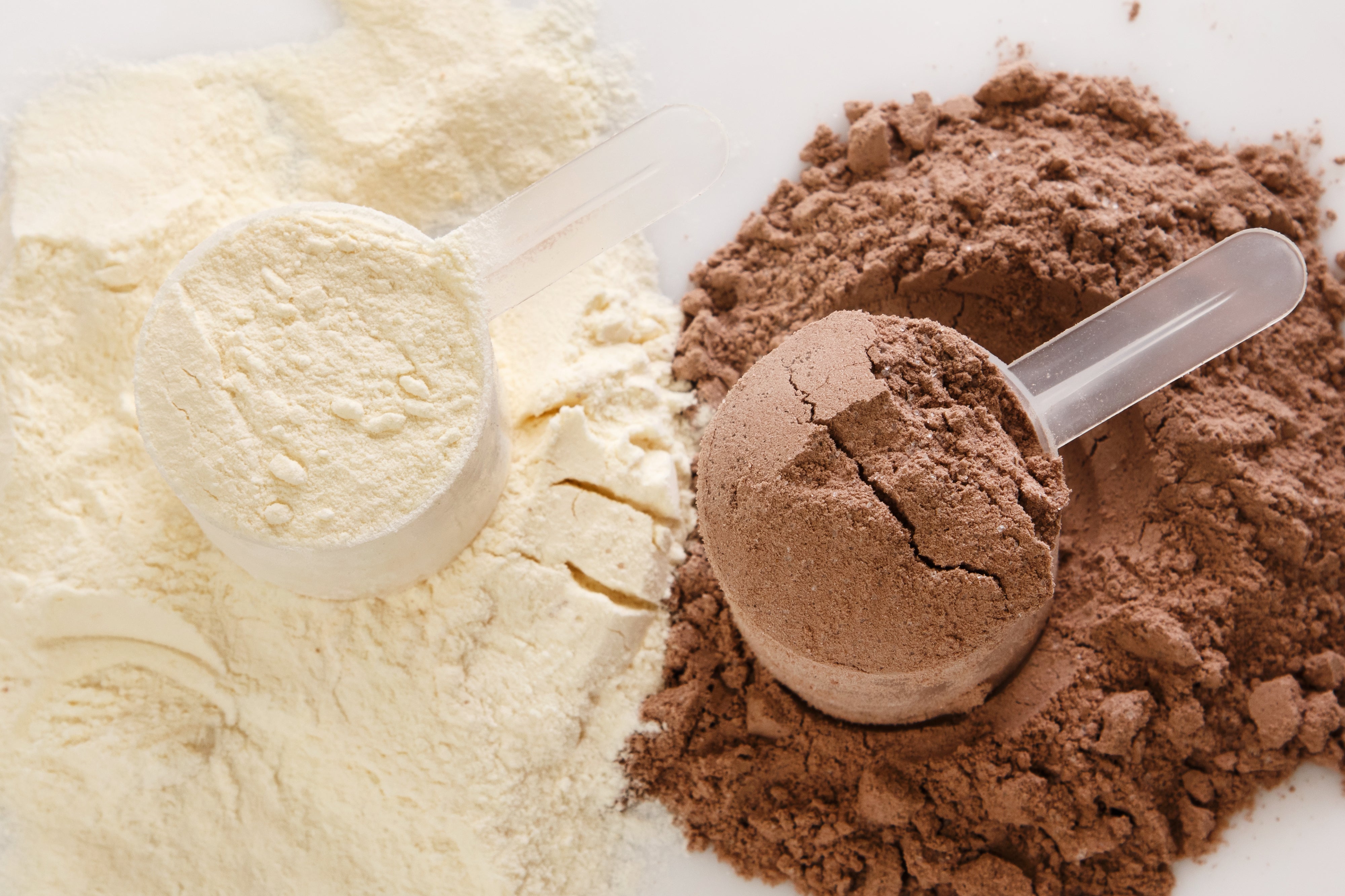 Exploring the Benefits of Whey Protein vs Plant-Based Protein Powders - Nutristore