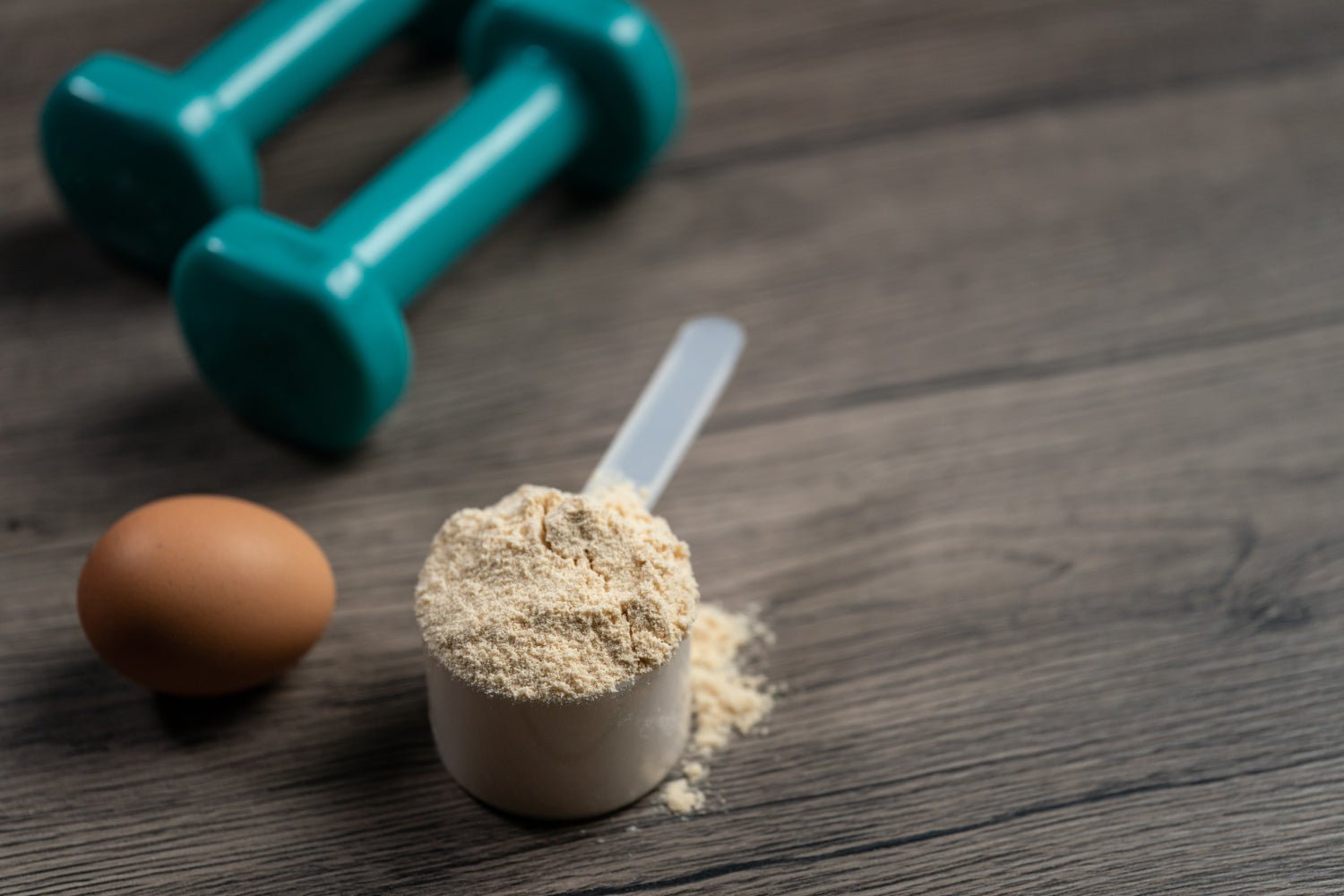 Whey vs. Plant-Based Protein: Nutritional Comparison - Nutristore