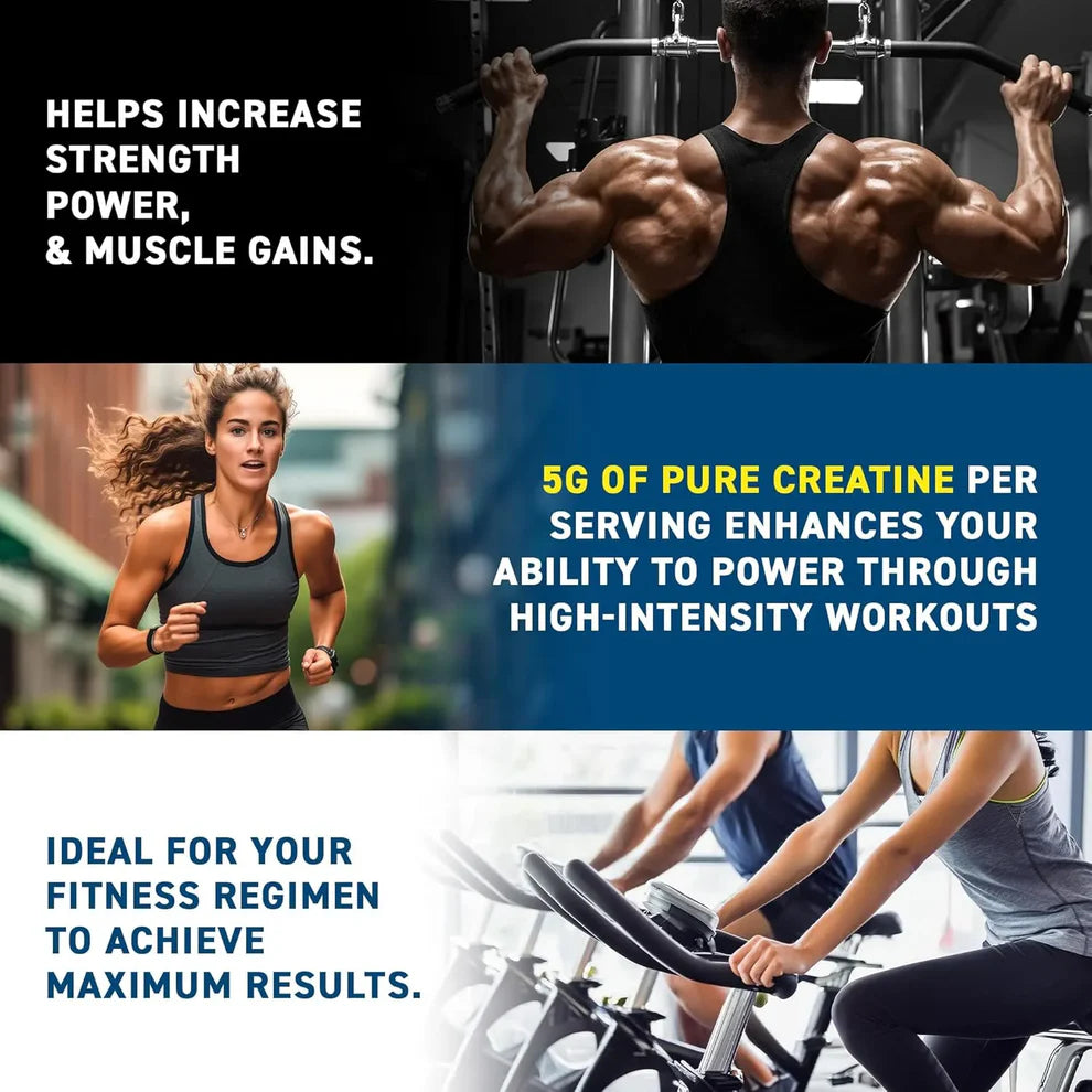 Applied Nutrition Creatine Monohydrate – 5g Creatine | Micronized Powder | Informed Sport | 500g