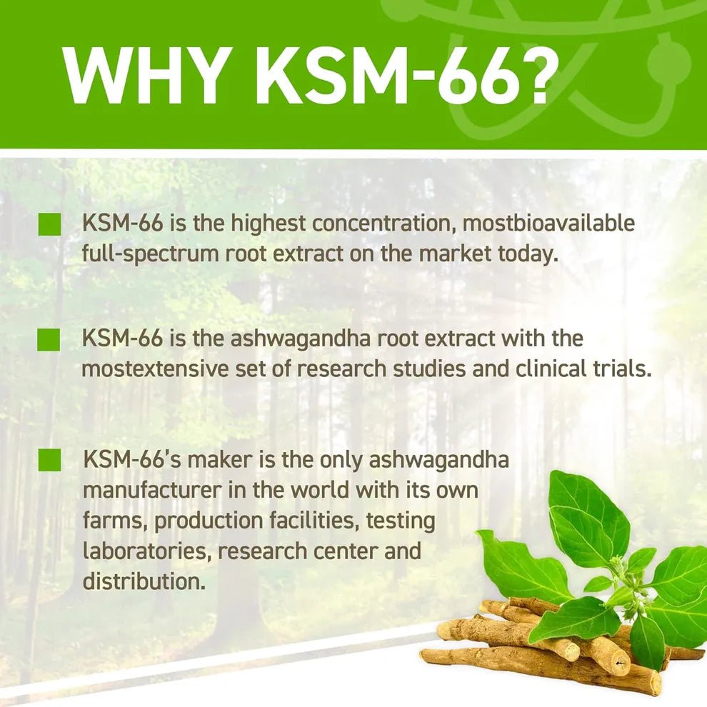 Applied Nutrition Ashwagandha KSM - 66® | 300mg | 60 Capsules | 60 Servings - Nutristore